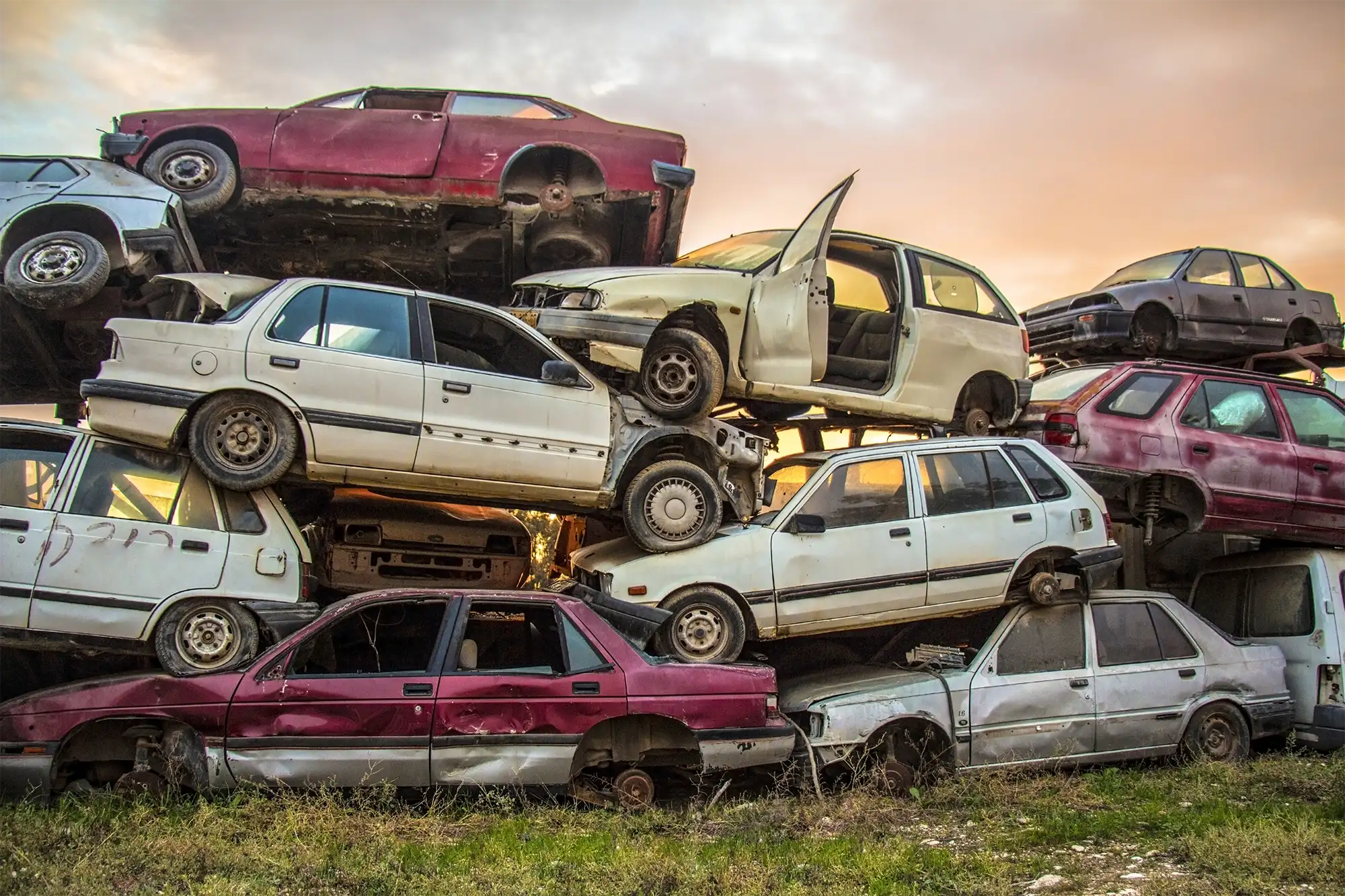 Junk Car Dealer